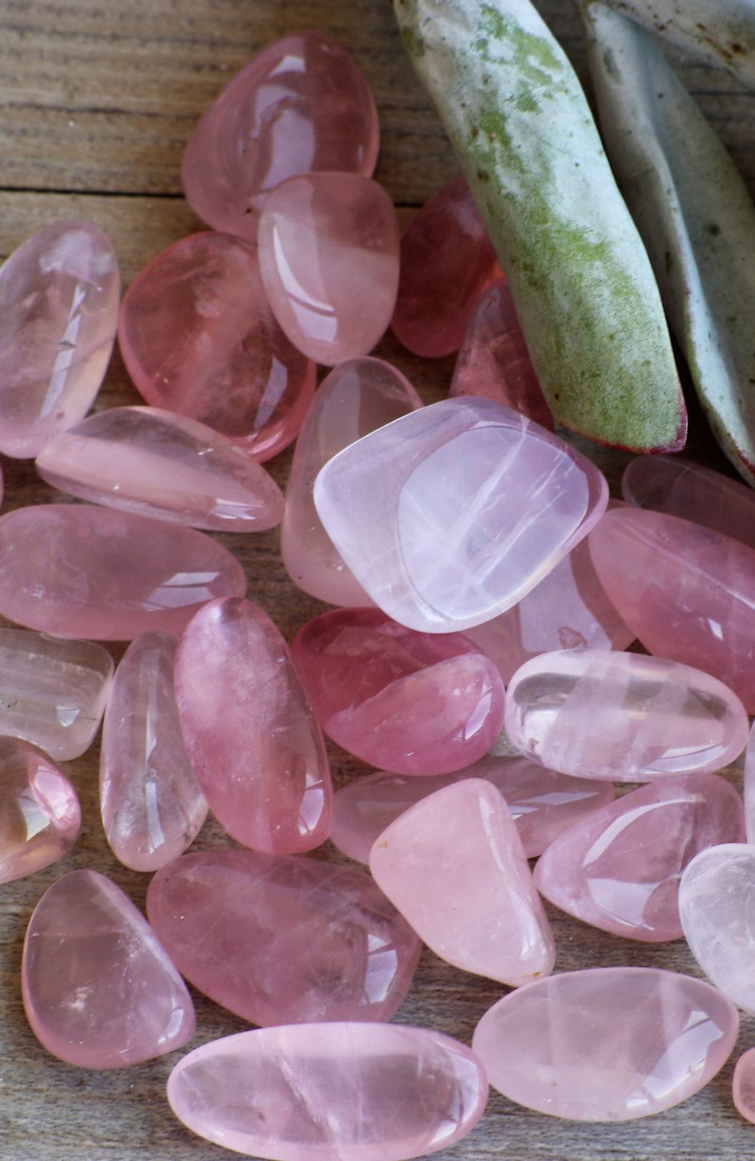 Rose Quartz AAA Tumbled Stone